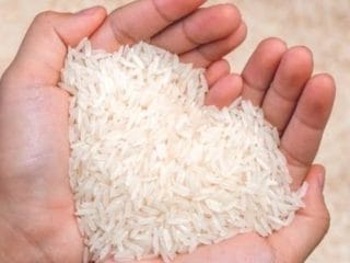 Presiden Jokowi Telah Merestui Kenaikan Beras