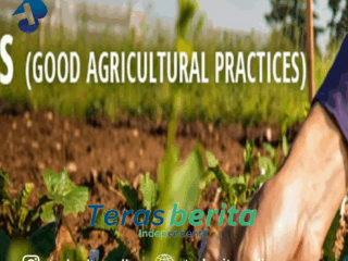 Kadis DP2 Kota Makassar Laksanakan Pelatihan GAP dalam Meningkatkan Produksi Pertanian