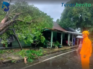 Angin Kencang dan Hujan Picu Kerusakan di Makassar, BPBD Bergerak Cepat
